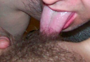 cherche plan cu a Brest 